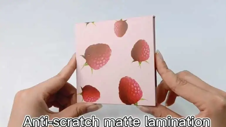 Fruit Paper Palette