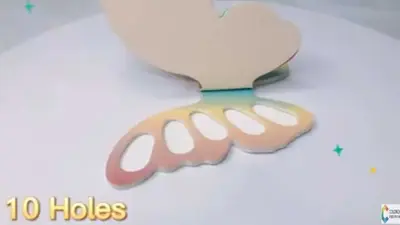 Multicolor Palette